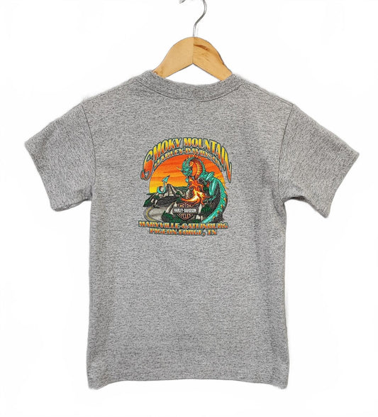 Vintage Harley Davidson Smoky Mountain Graphic T-Shirt Grey Retro 90s Size M