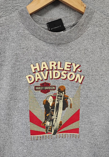 Vintage Harley Davidson Smoky Mountain Graphic T-Shirt Grey Retro 90s Size M