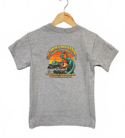 Vintage Harley Davidson Smoky Mountain Graphic T-Shirt Grey Retro 90s Size M