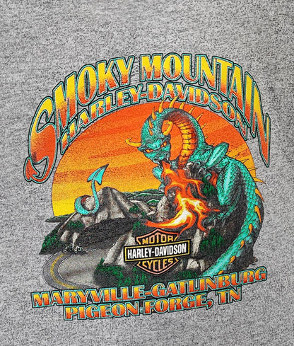 Vintage Harley Davidson Smoky Mountain Graphic T-Shirt Grey Retro 90s Size M