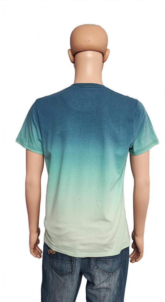 Vintage Hollister Embroidered Seagull Striped T-Shirt Blue Green Men's Size M