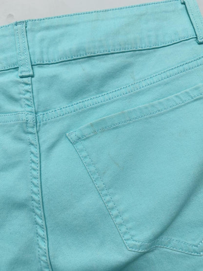 Vintage Riders by Lee Shorts Mint Green Pastel 90s Summer Holiday Beach 32W