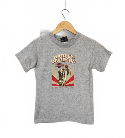 Vintage Harley Davidson Smoky Mountain Graphic T-Shirt Grey Retro 90s Size M